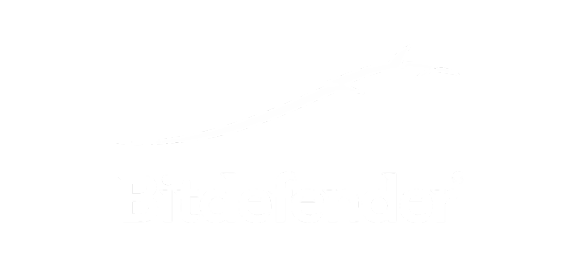 Bitdefender
